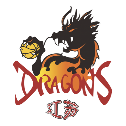 蒙得维的亚流浪者